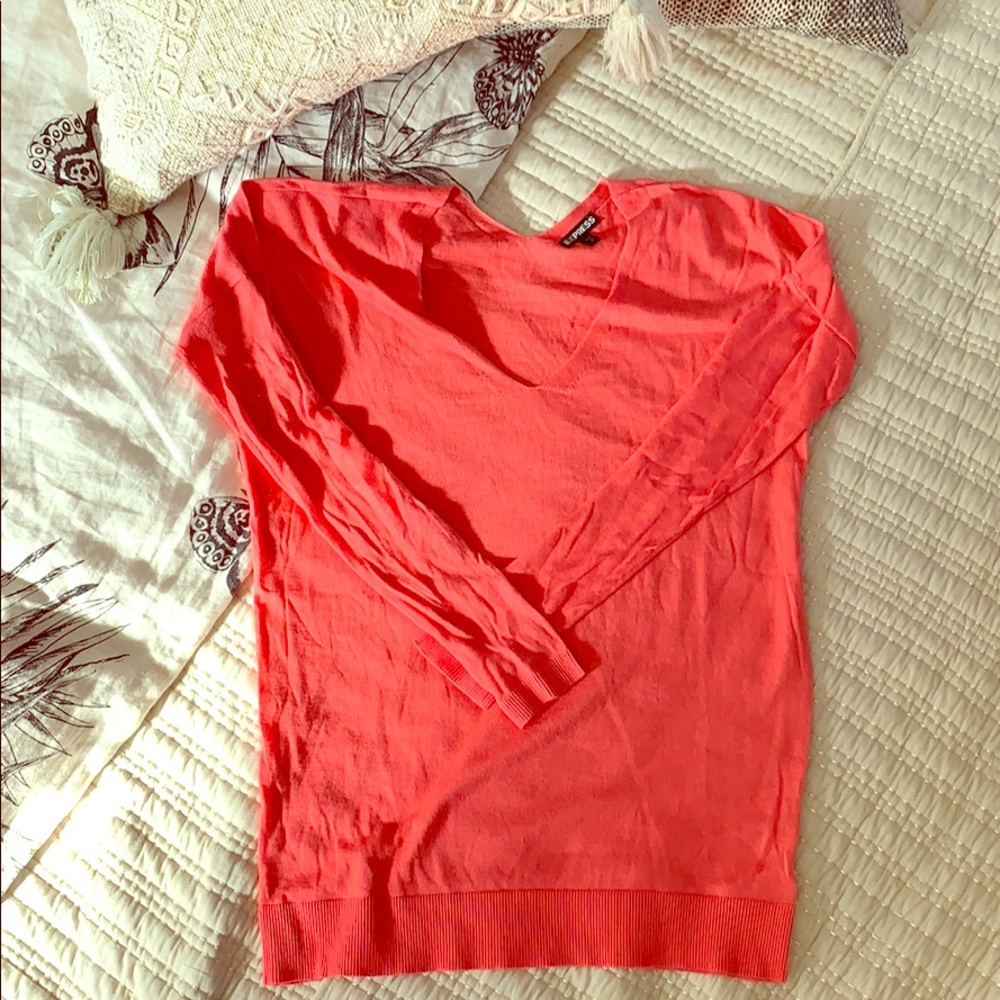 Express pink V neck soft sweater S